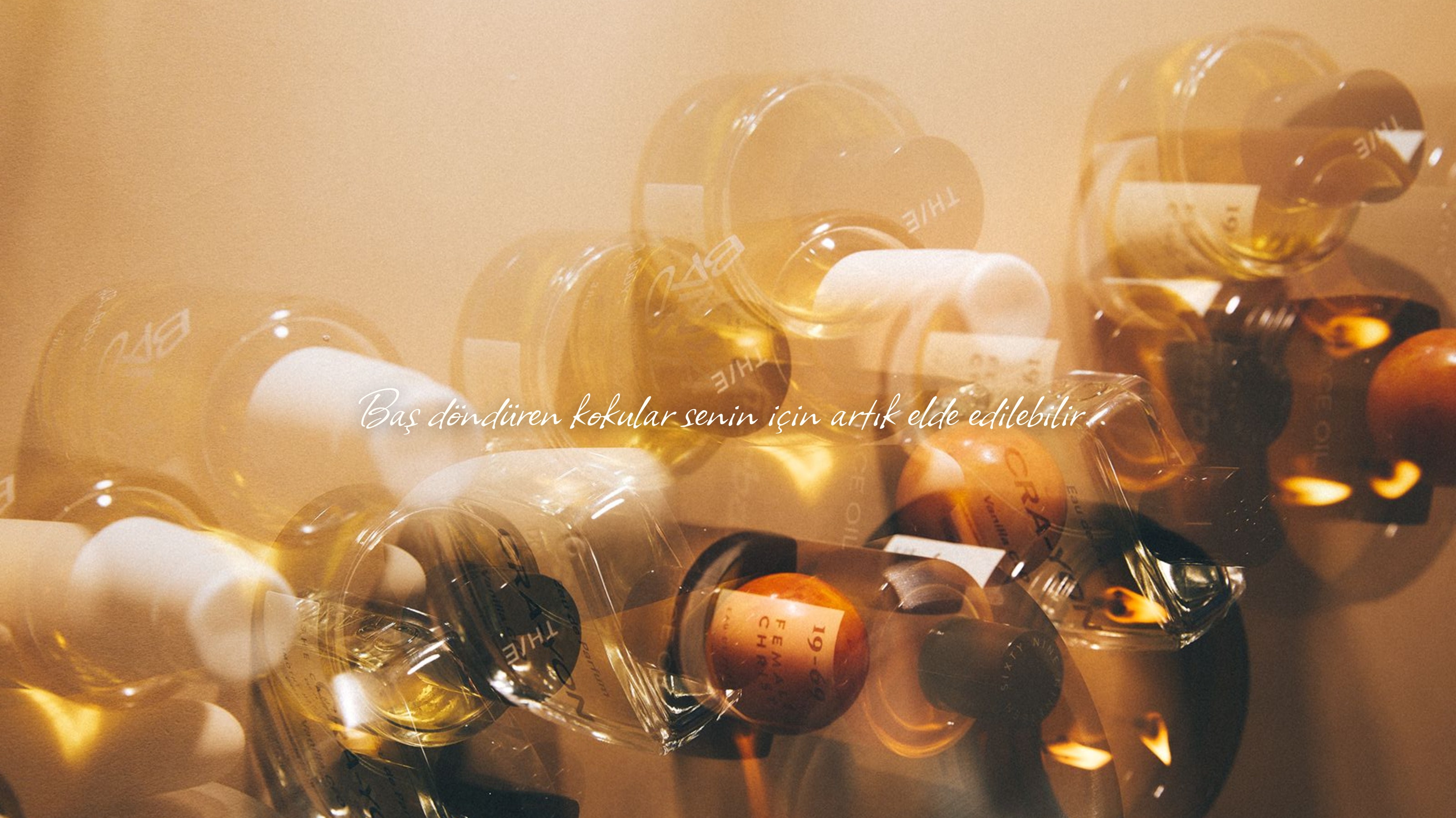 delvia-banner-3-desktop