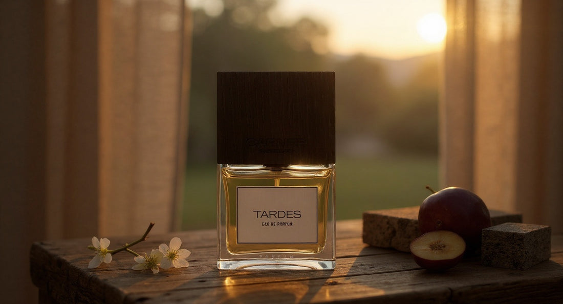 Carner Barcelona Tardes EDP İncelemesi: Huzurlu Bir İmza