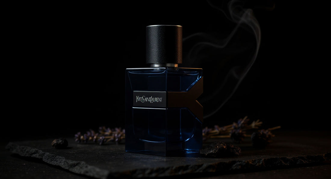 Karanlık Zarafet: YSL Y Elixir İncelemesi 🕯️✨