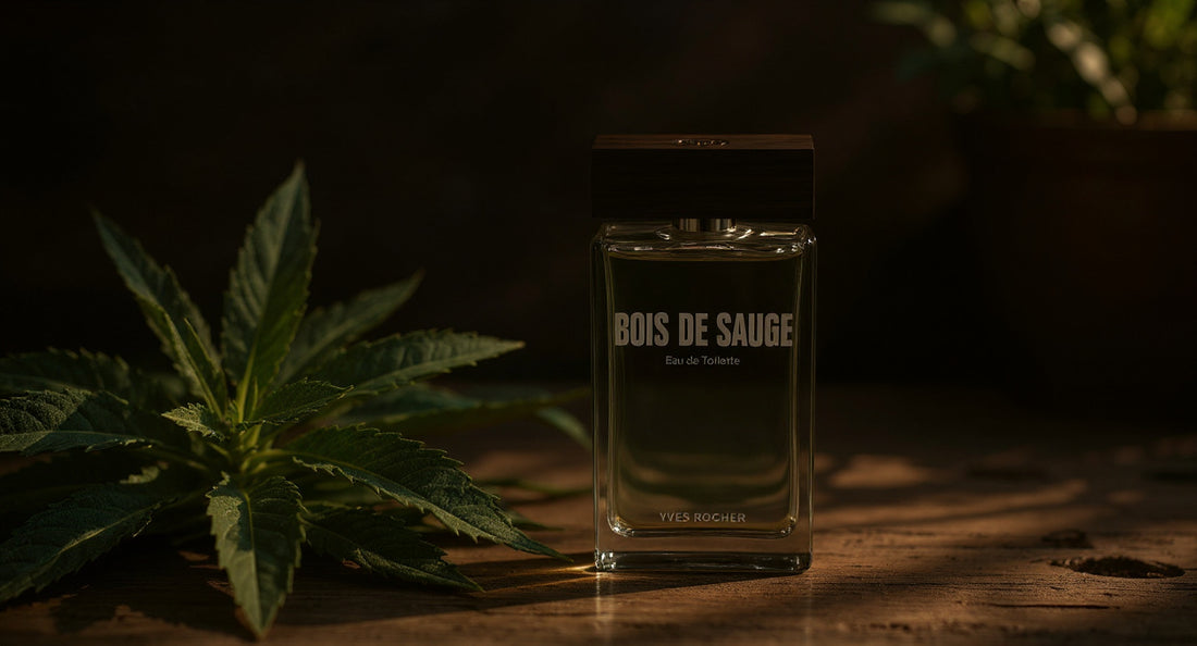 Doğanın Karizmatik Dengesi: Bois de Sauge EDT İncelemesi 🌿