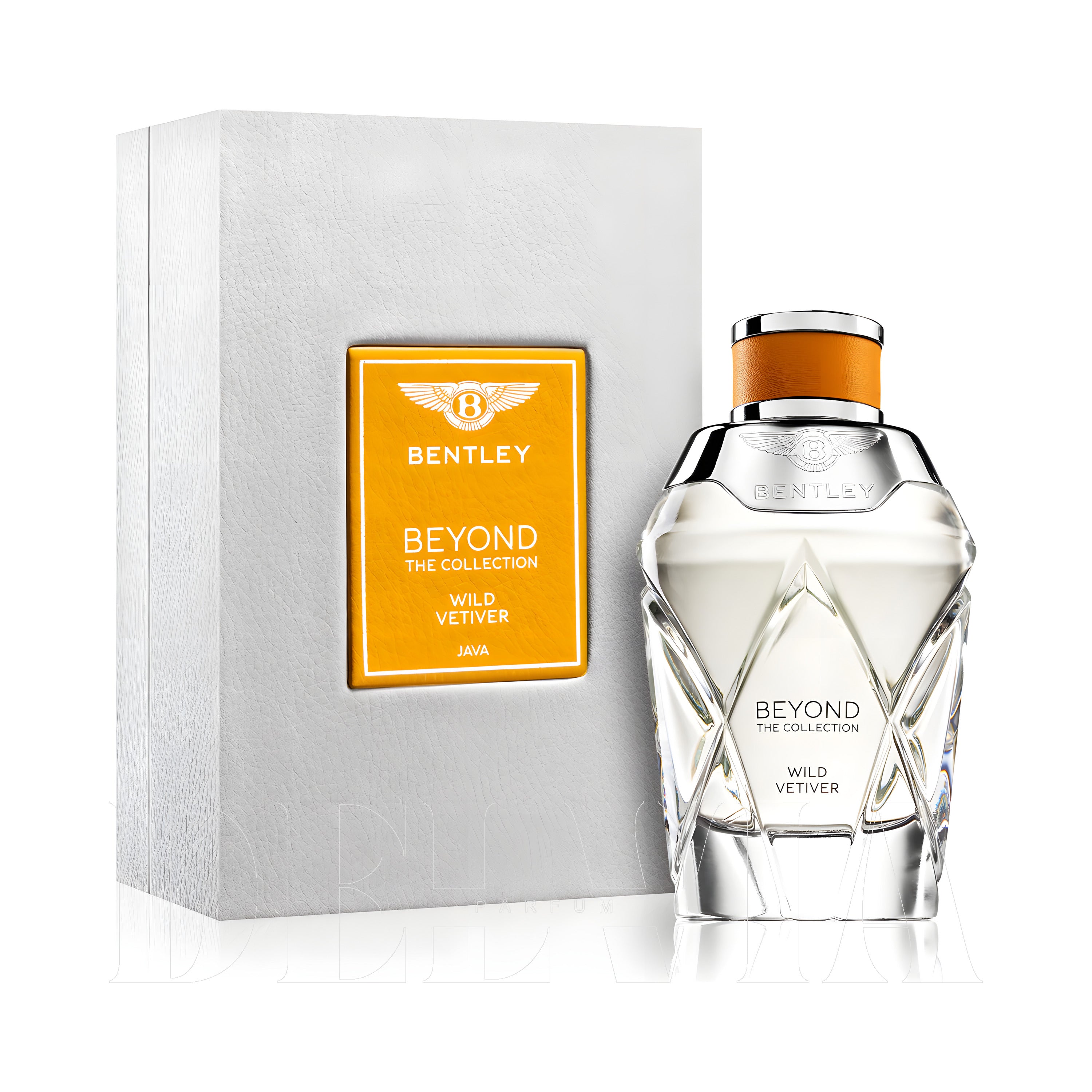 Bentley Beyond The Collection Wild Vetiver Oda Kokusu — şişe görseli