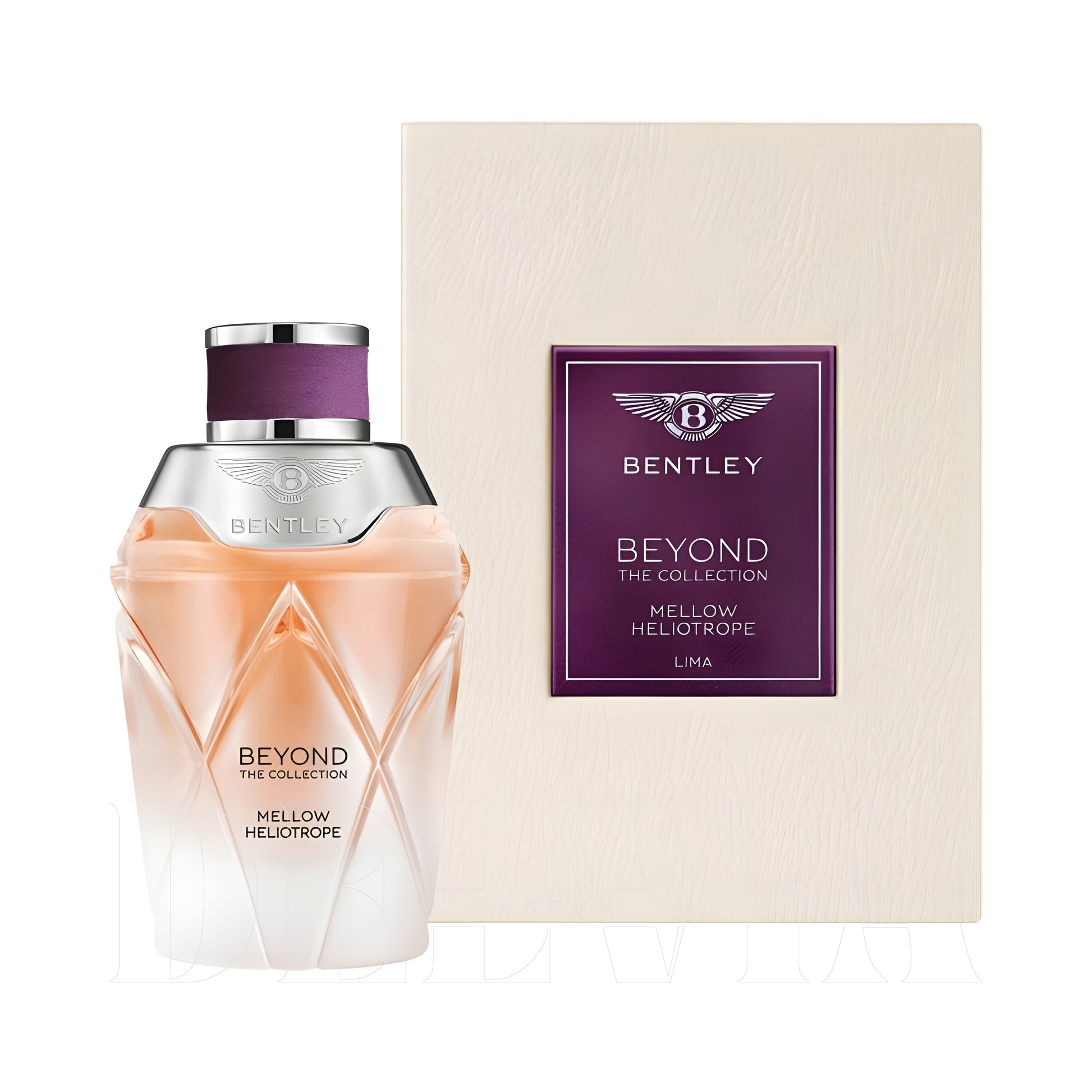Bentley Mellow Heliotrope 20 ml dekant parfüm — kutu ve şişe görseli