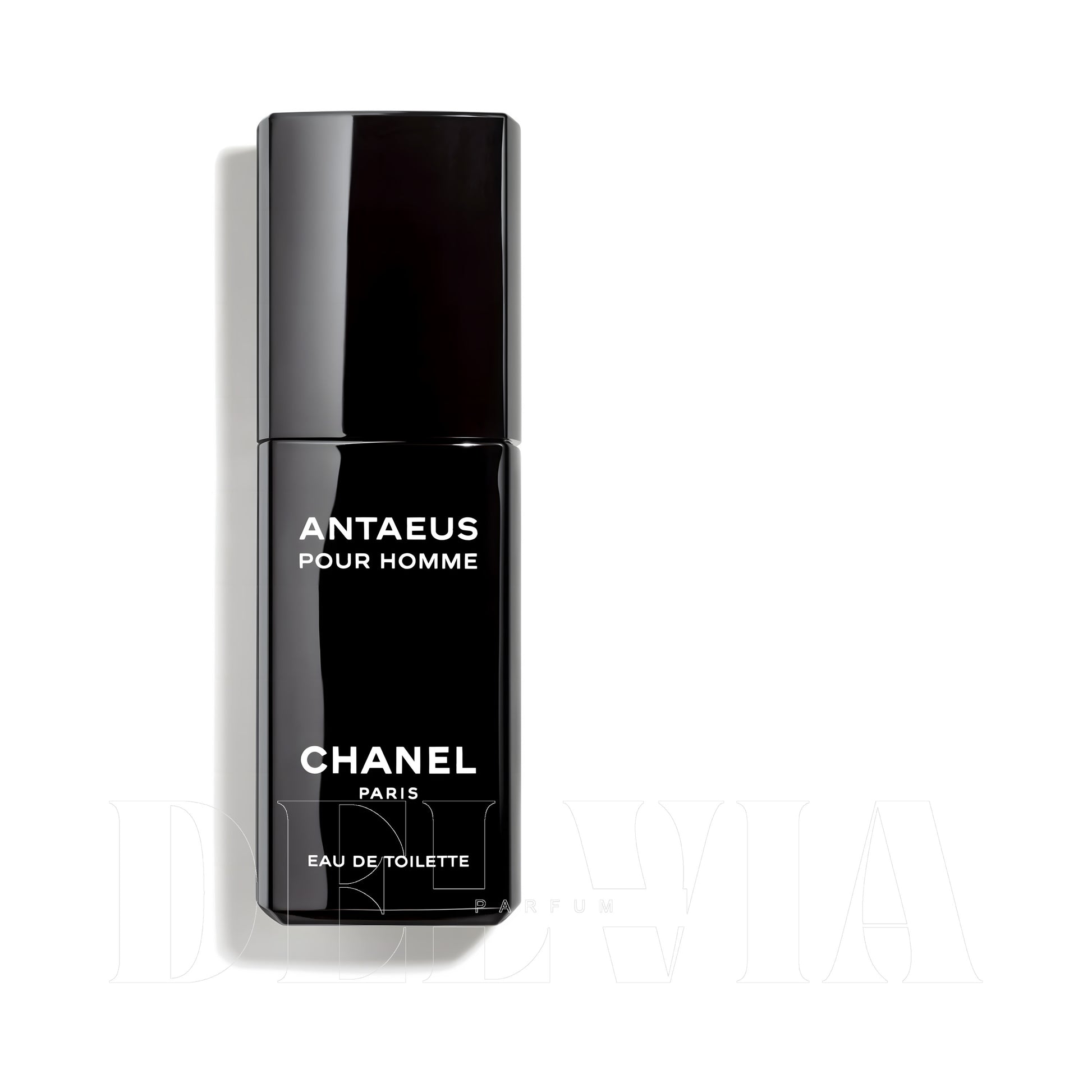 Chanel Antaeus Pour Homme 1 ml dekant parfüm — şişe görseli