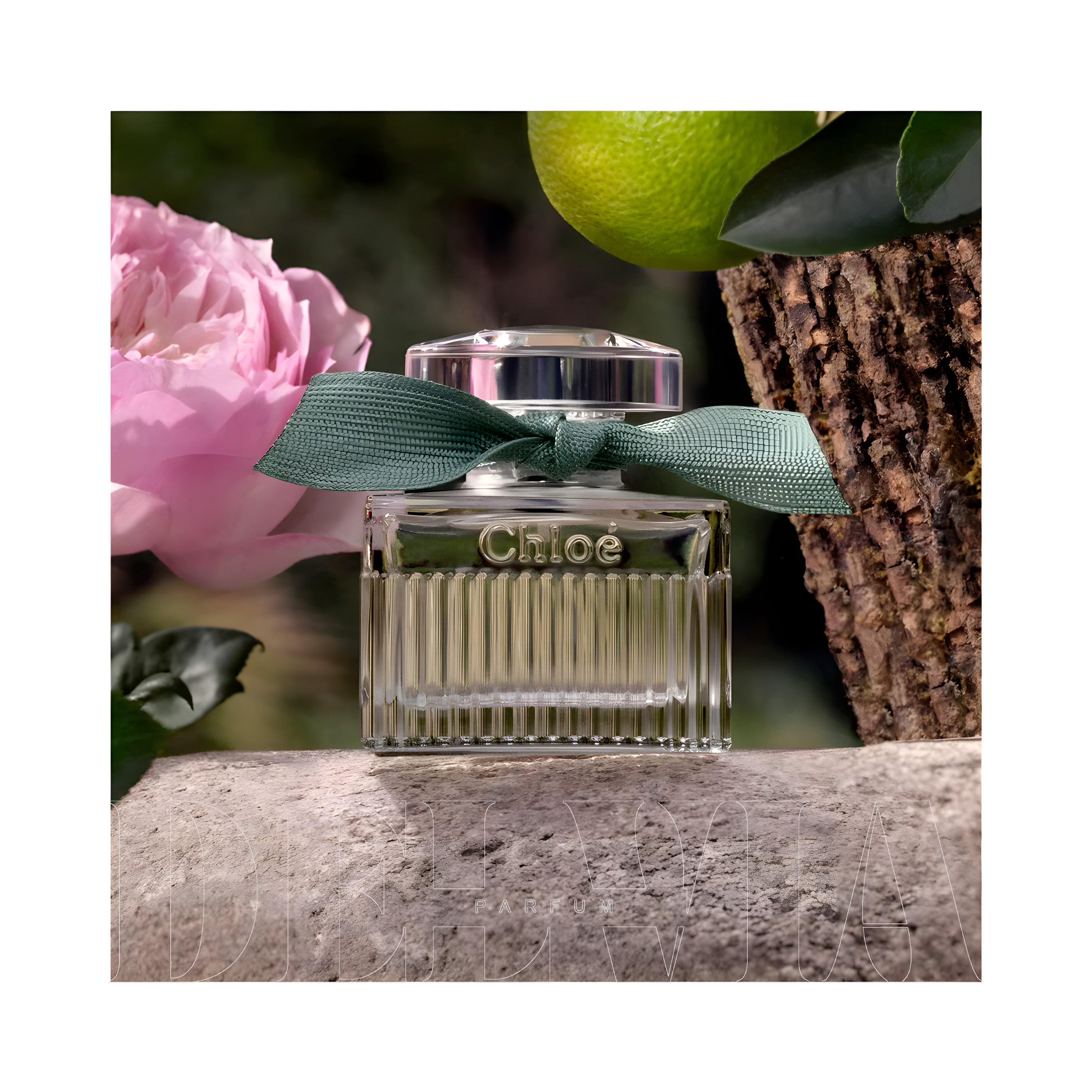 Chloe Rose Naturelle Intense 10 ml dekant parfüm — şişe görseli