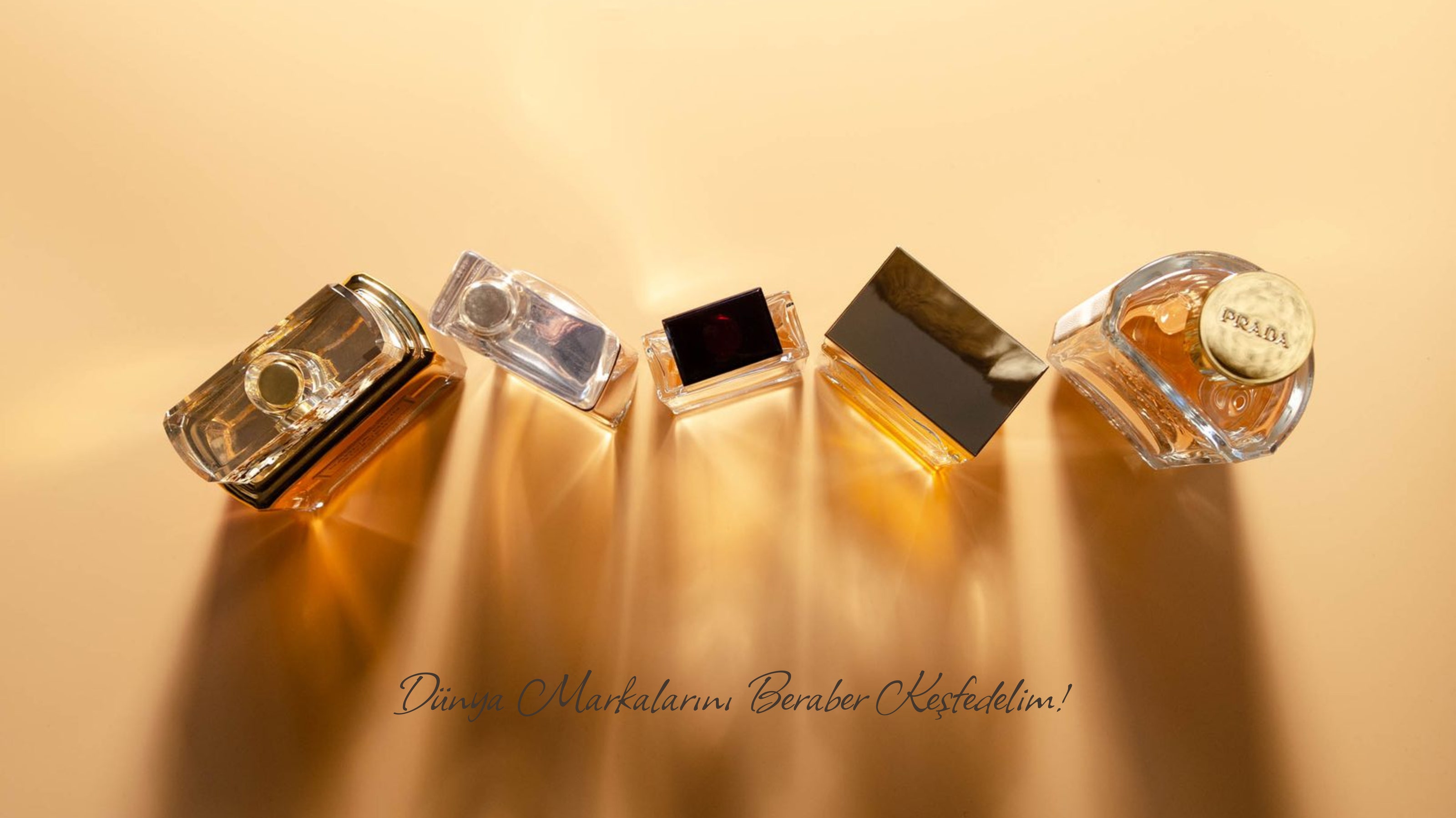 delvia-banner-4-desktop