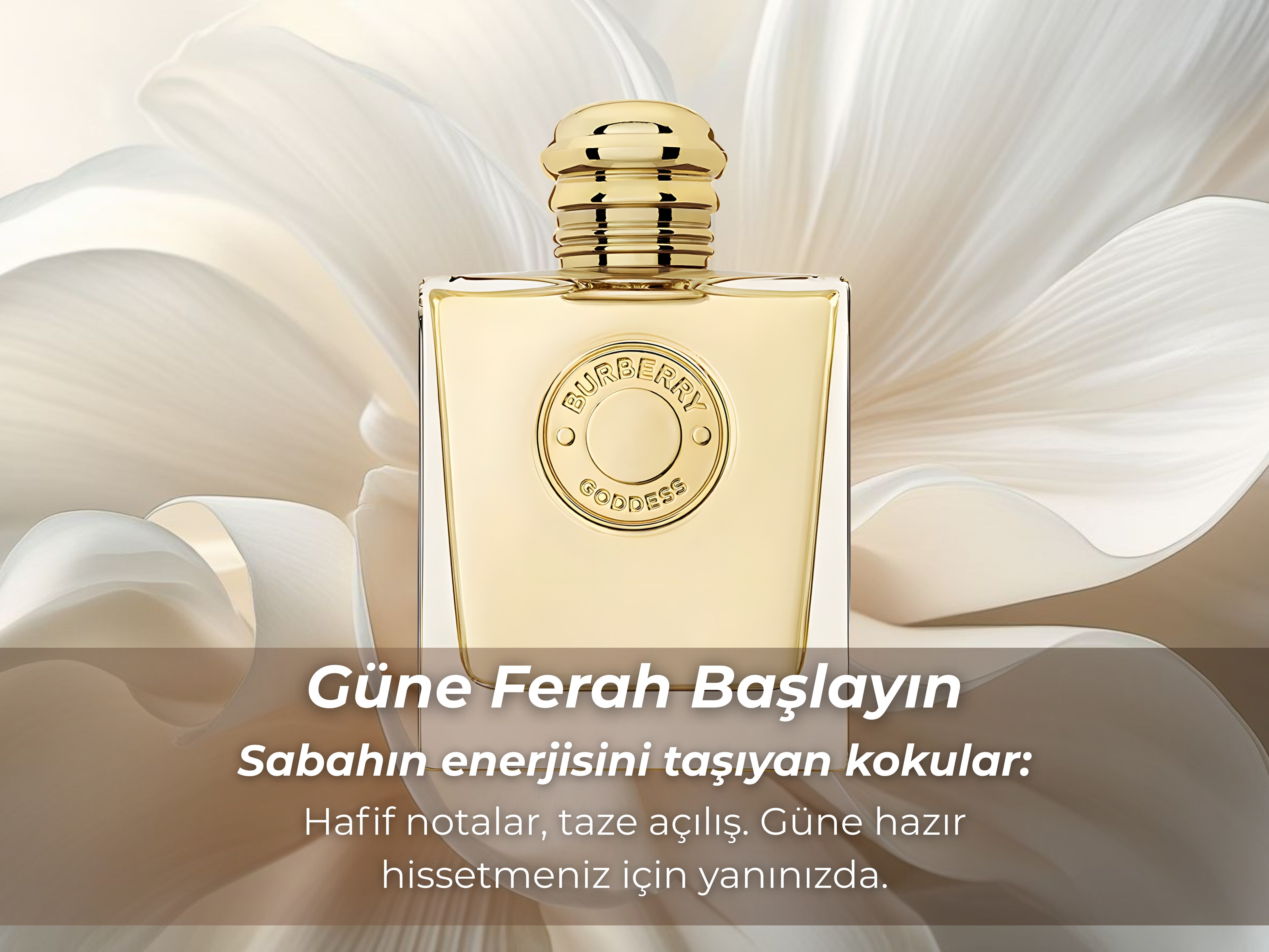 Sabah ışığıyla aydınlanan parfüm sahnesi