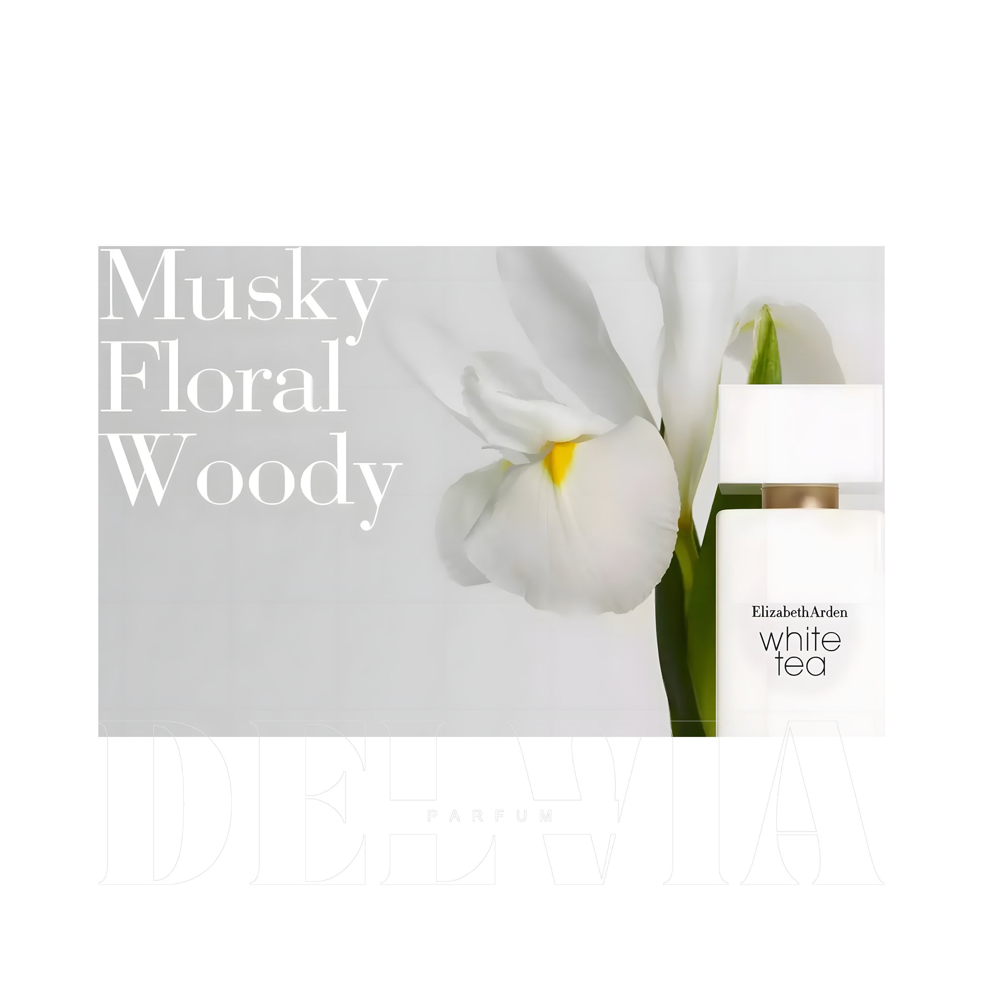 Elizabeth Arden White Tea Edt 100 100 ml dekant parfüm — şişe görseli