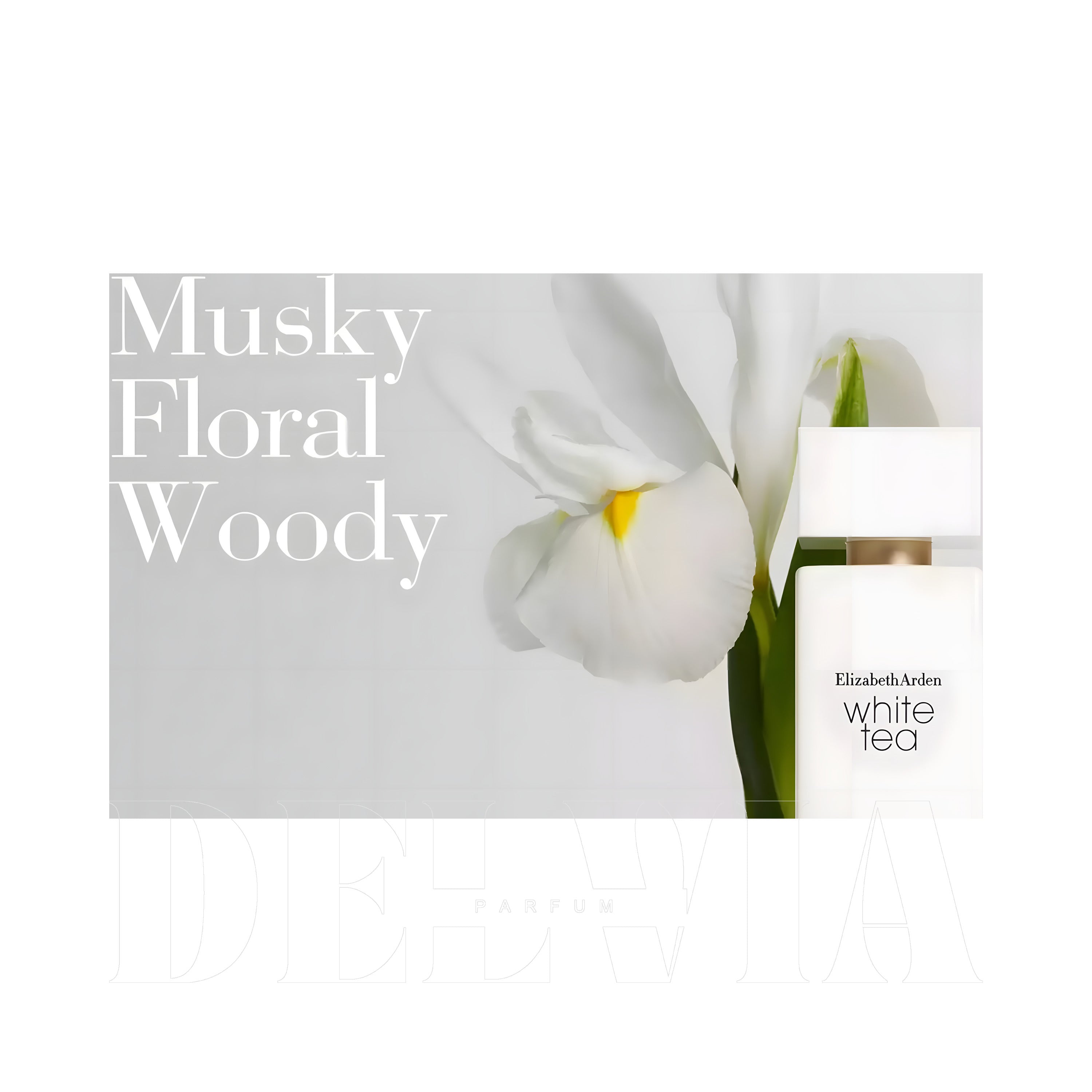 Elizabeth Arden White Tea Edt 100 Kokulu Sabun — şişe görseli