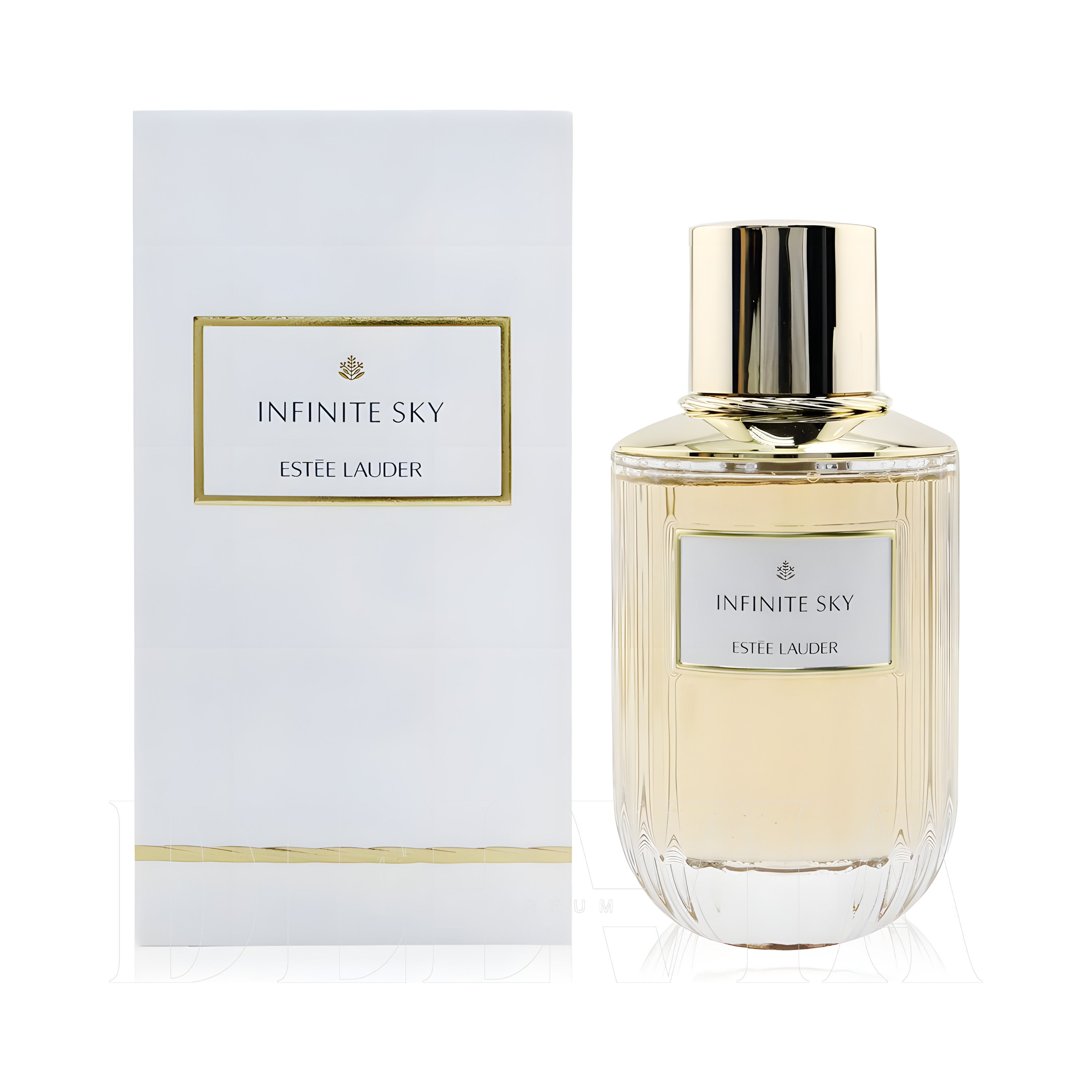 Estee Lauder Infinite Sky 30 ml dekant parfüm — kutu ve şişe görseli