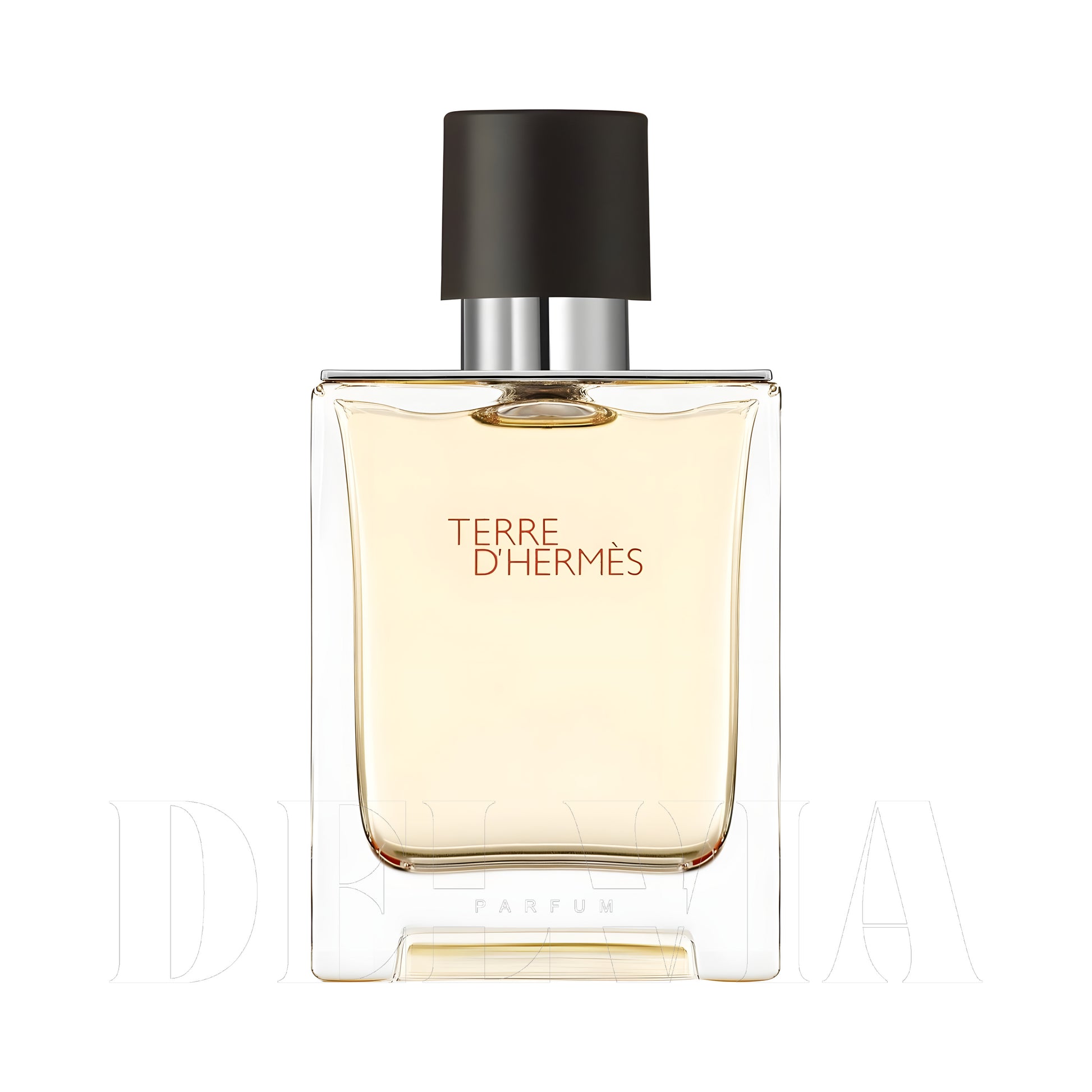 Hermes Terre D Hermes 1 ml dekant parfüm — şişe görseli