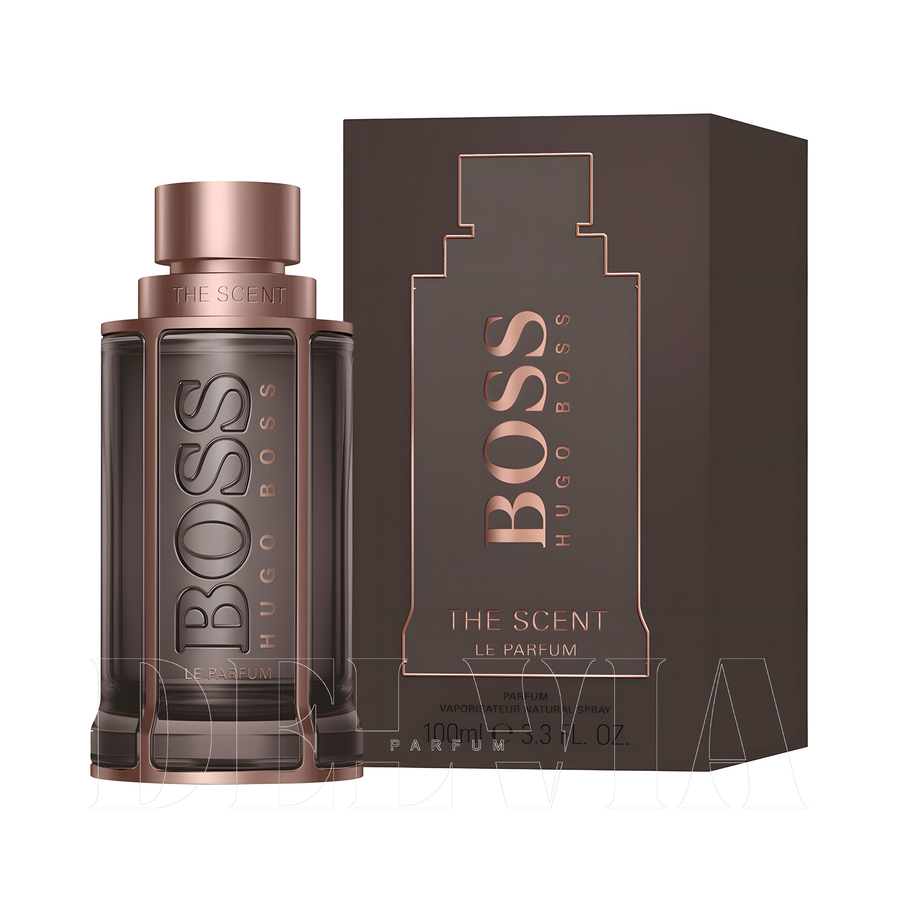 Hugo Boss The Scent Le Parfum For Him Araba Kokusu — kutu ve şişe görseli