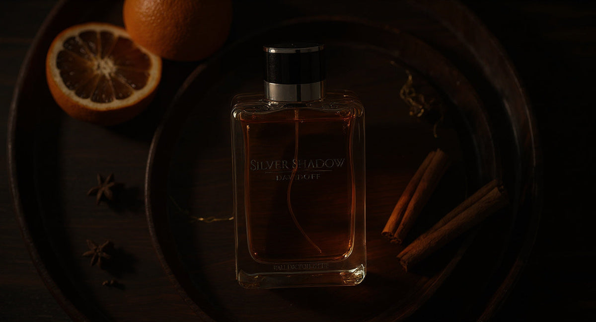 Asil ve Gizemli: Davidoff Silver Shadow EDT İncelemesi 🕯️✨ [blog]