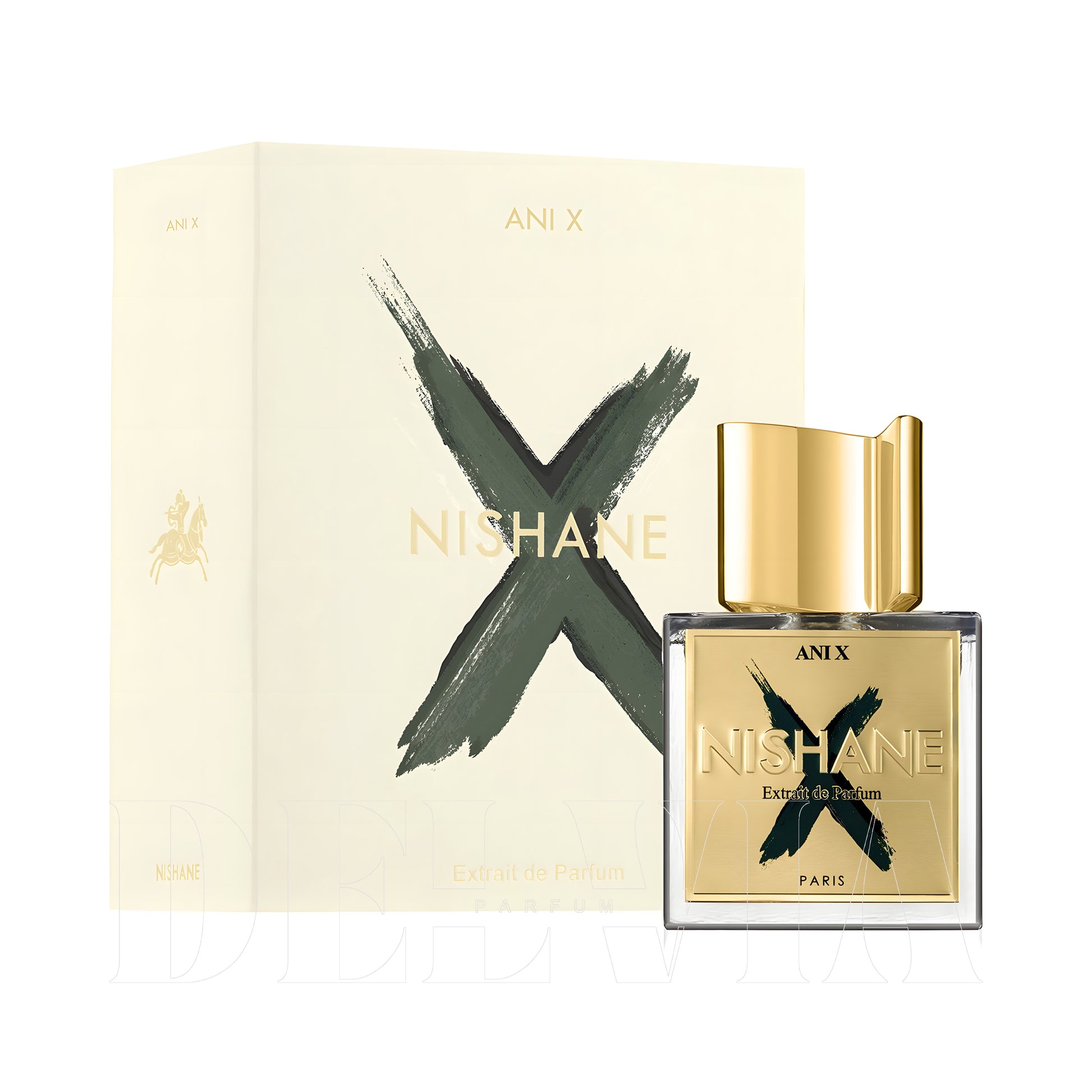 Nishane Ani X Extrait De Parfum Oda Kokusu — kutu ve şişe görseli