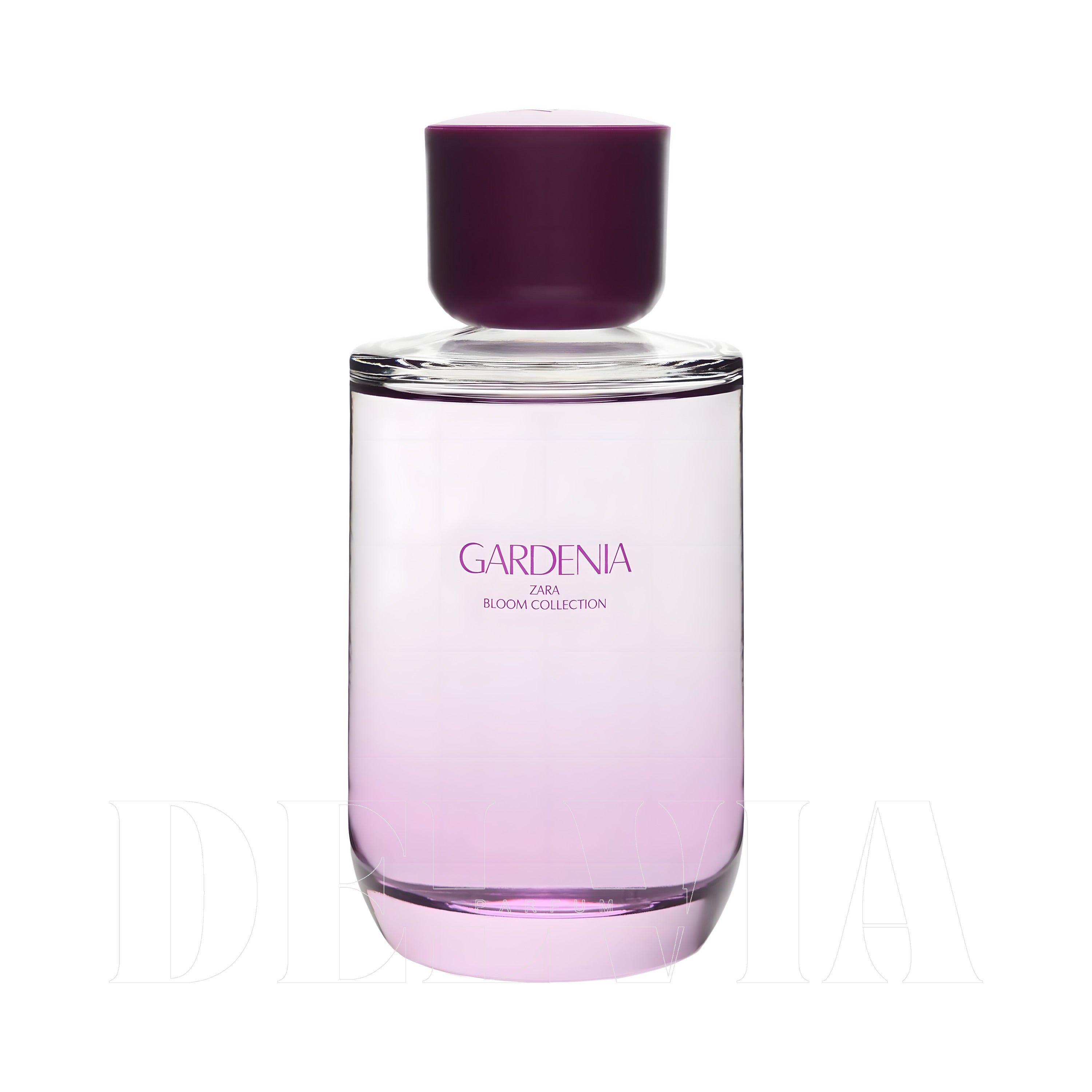 Zara Gardenia 8 ml dekant parfüm — şişe görseli