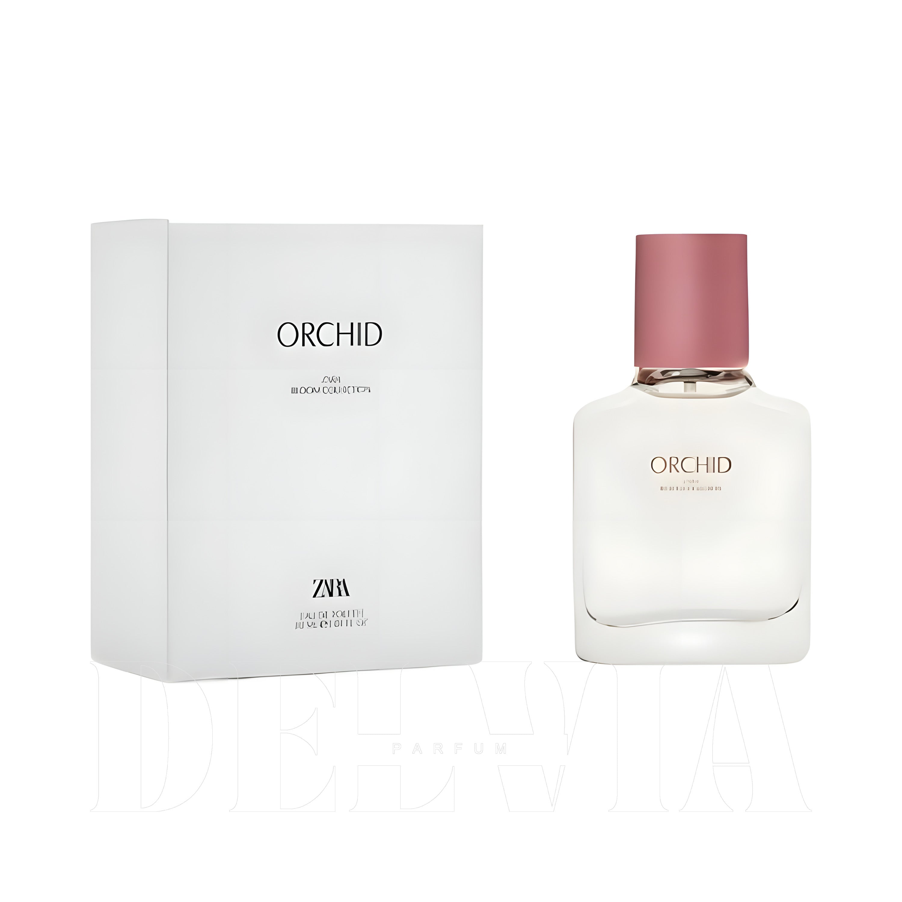 Zara Orchid 2 ml dekant parfüm — kutu ve şişe görseli
