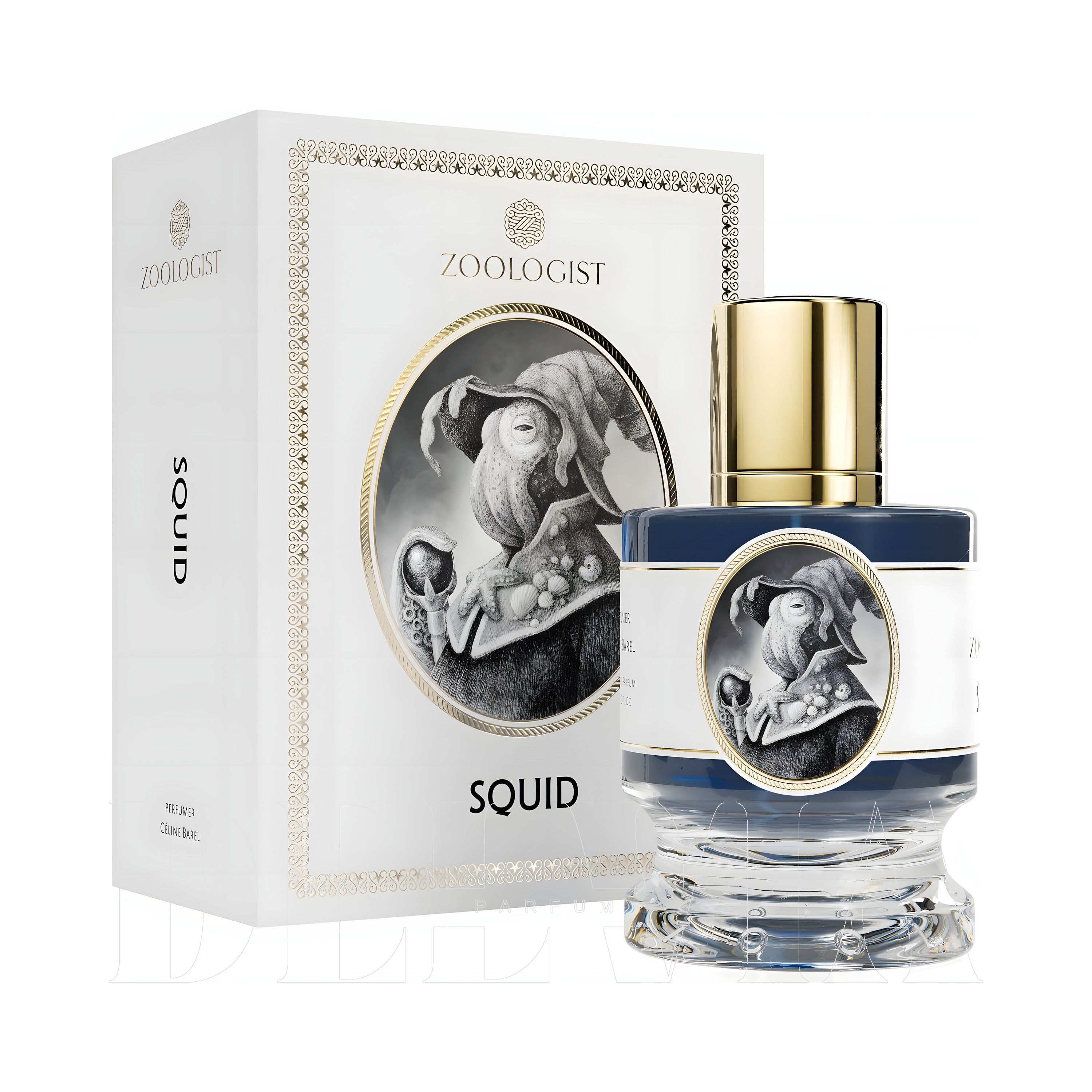 Zoologist Squid Extrait De Parfum 10 ml dekant parfüm — kutu ve şişe görseli
