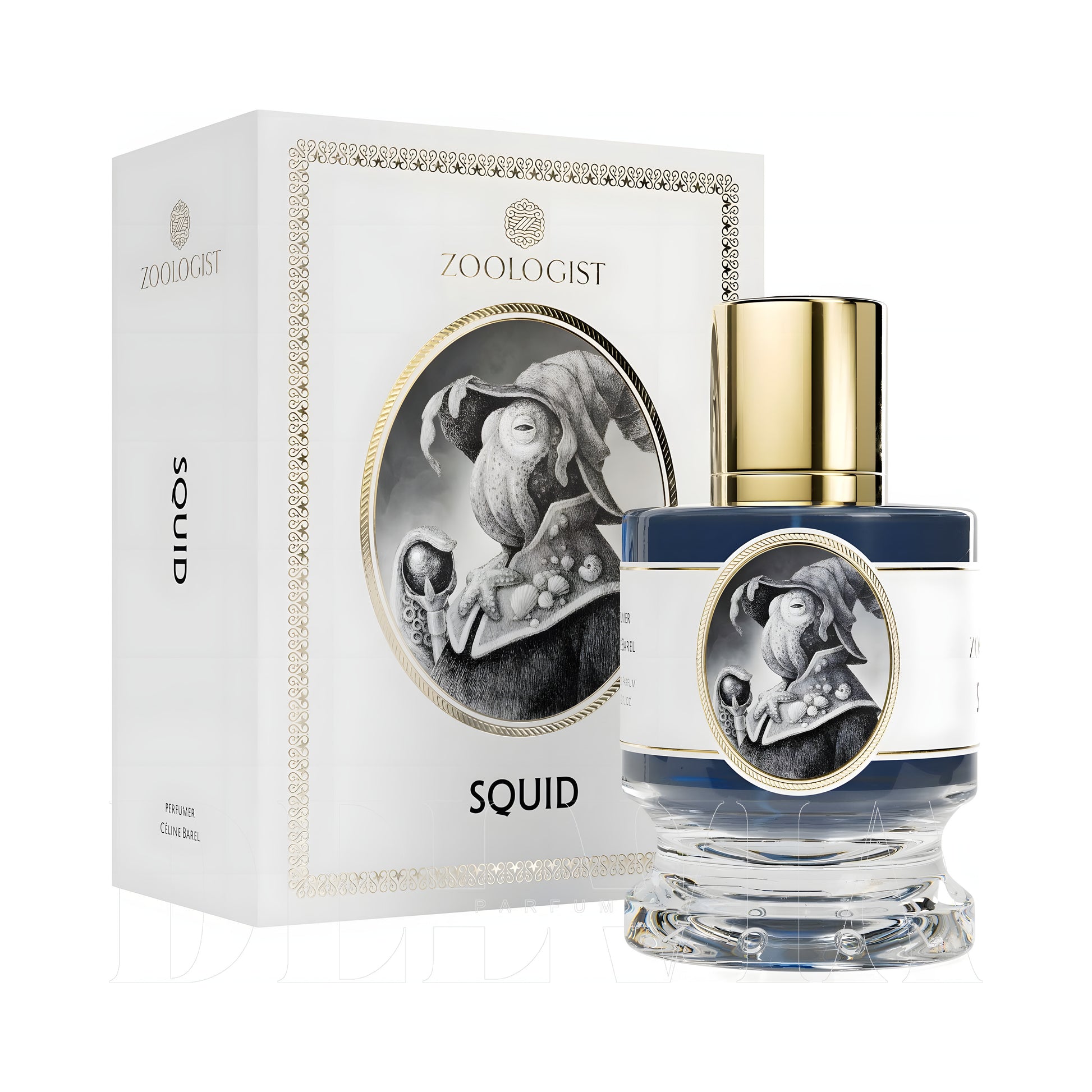 Zoologist Squid Extrait De Parfum Oda Kokusu — kutu ve şişe görseli