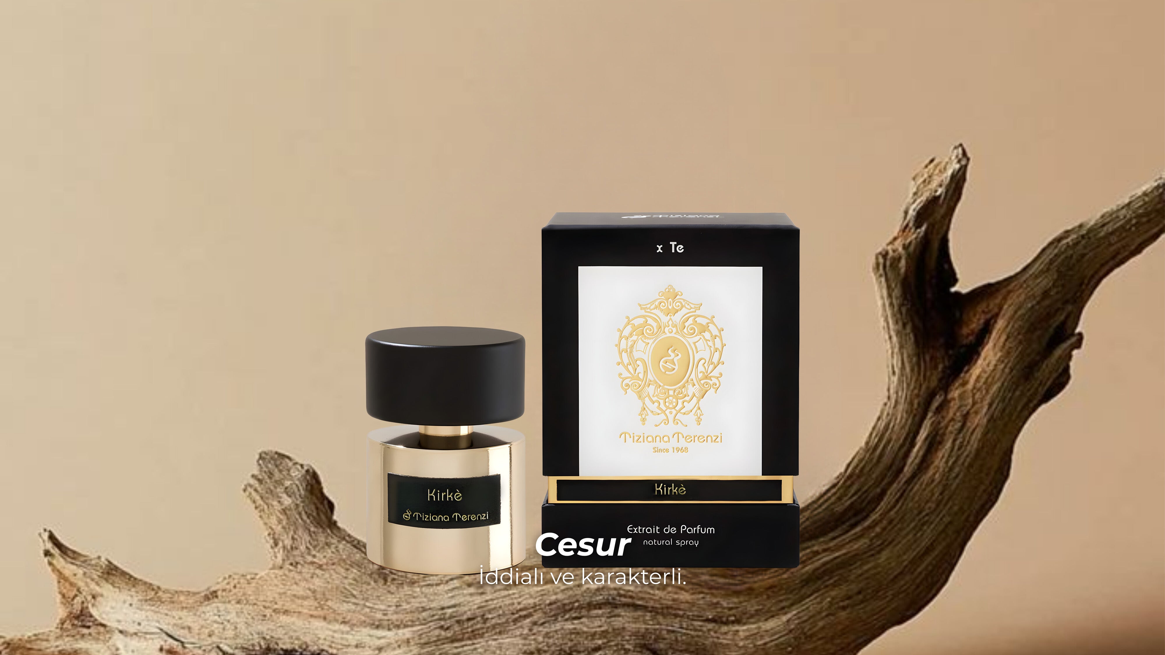 Cesur