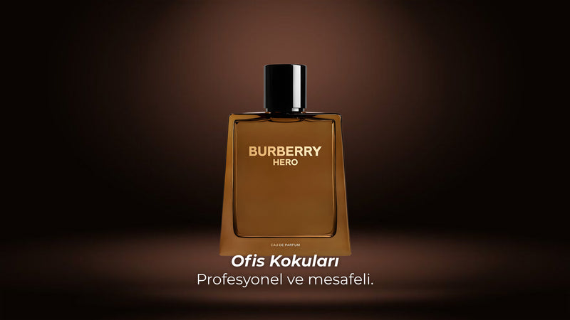 Ofis Kokuları