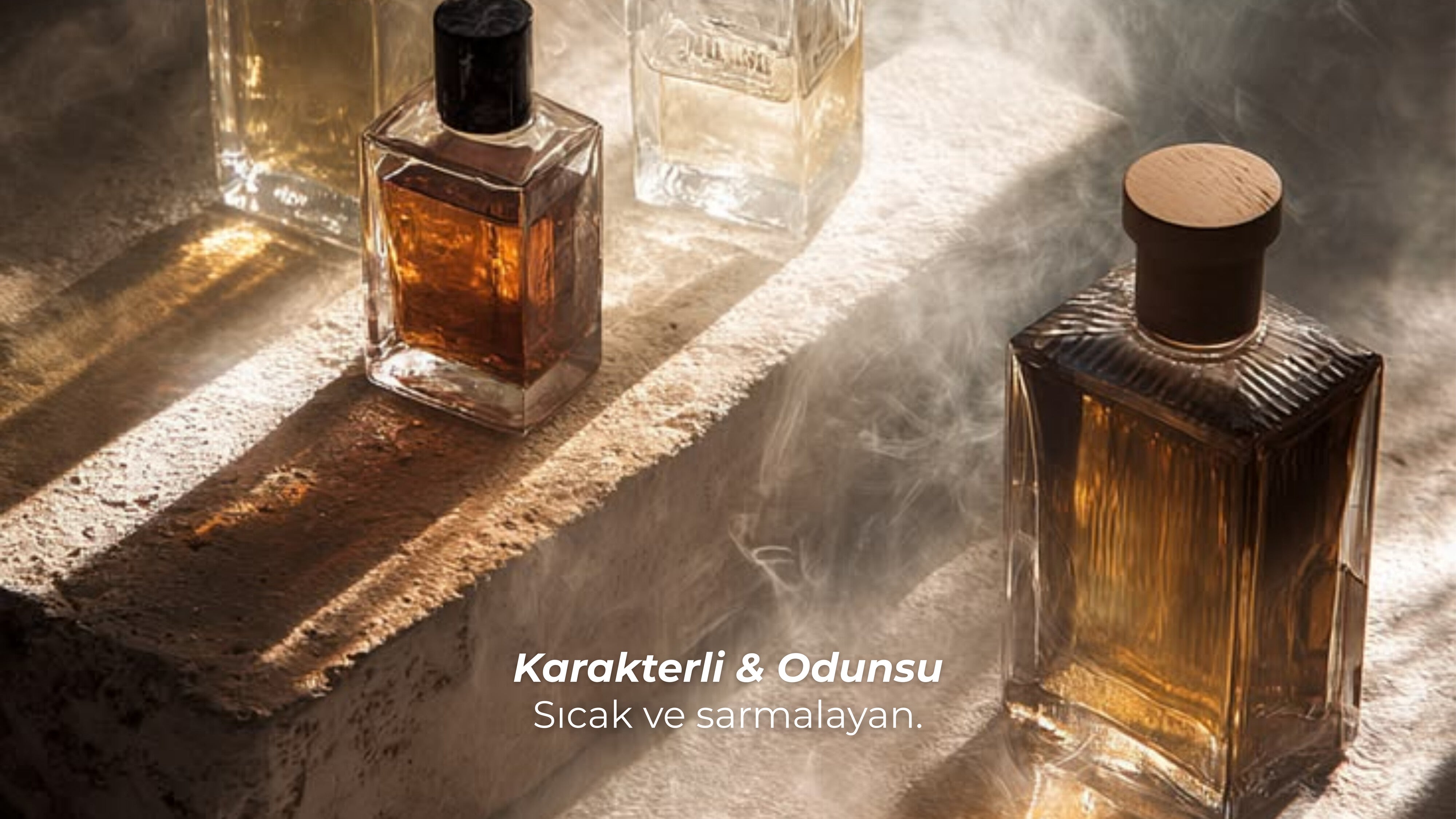 Karakterli & Odunsu